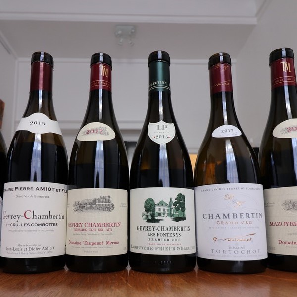 Example of private tasting : tasting around Gevrey-Chambertin with 10 red wines.