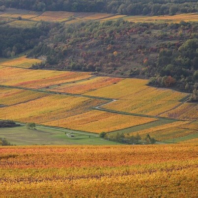 You can enjoy wonderful views in autumn especially when the vineyards have gold and red colors.