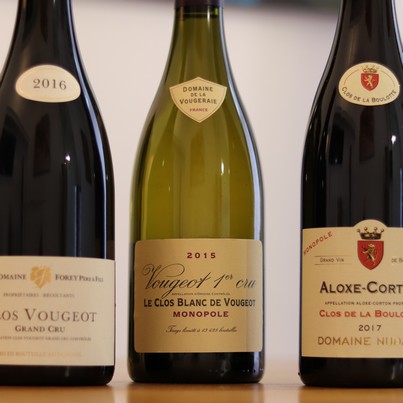 Ce Vougeot 1er cru Le Clos Blanc de Vougeot est  l’un des 8 vins dégustés lors du cours privé consacré aux Clos de Bourgogne.