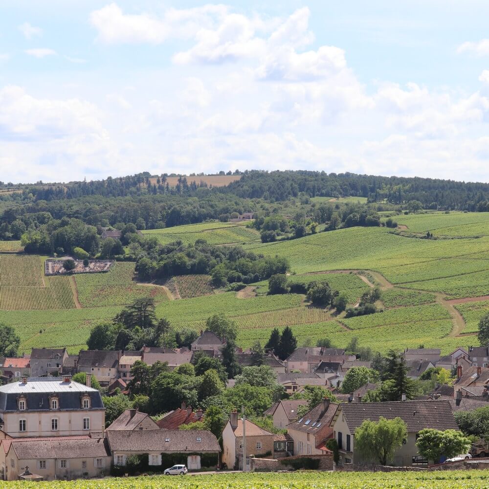 Participez à un wine tour avec Sensation Vin et visitez les vignobles de Mercurey