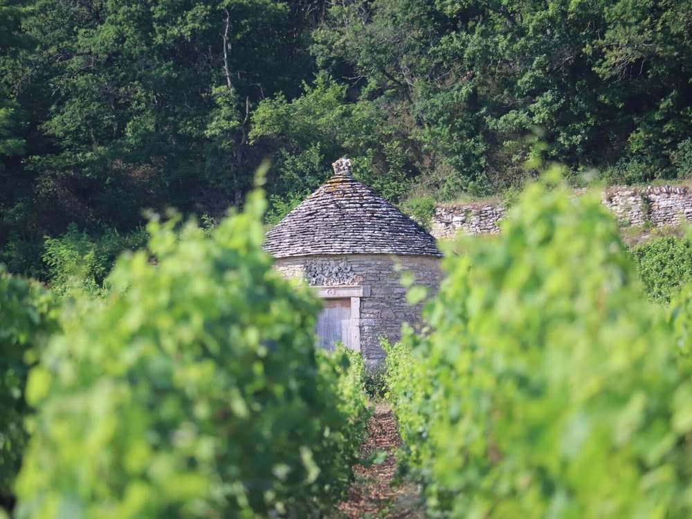 A cabotte seen during the wine tour "From Corton to Chambertin"