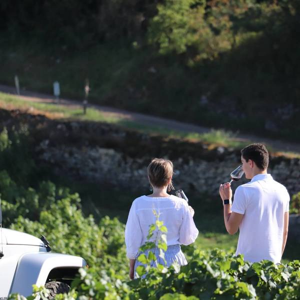 Our wine tasting classes in Summer