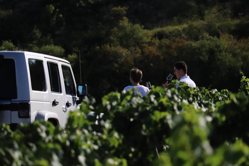 cours sur mesure vin