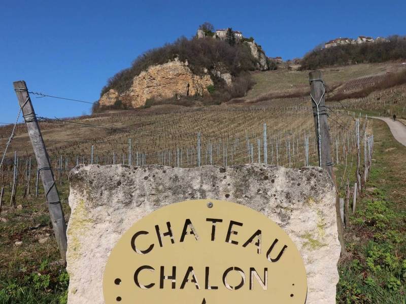 8 vins sont dégustés lors du cours: des vins du Jura comme Château Chalon, un Pouilly-Fumé ou encore un Moulin-à-Vent.