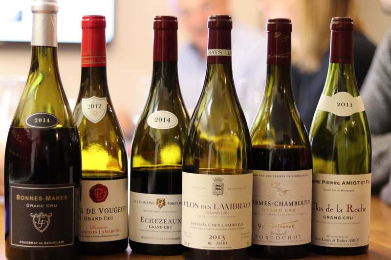 cours sur mesure vin