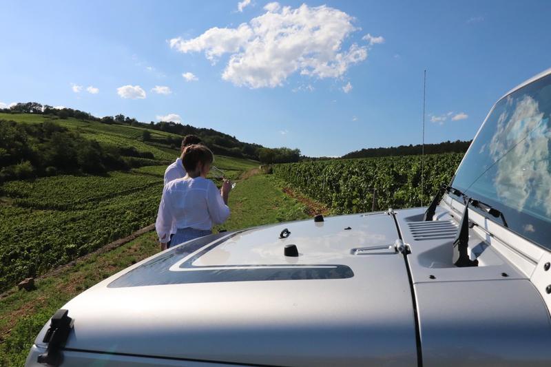 cours sur mesure vin